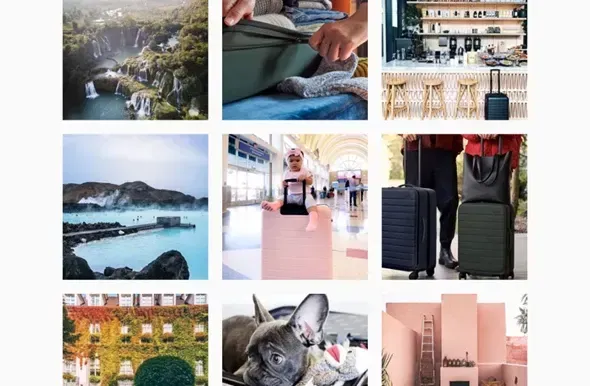 Billede med ni miniaturebilleder, der viser naturskønne landskaber med vandfald, en person der pakker en kuffert, en stilfuld cafe, en lufthavn med rejsende, geotermiske kilder, en fransk bulldog, klatreudstyr og en bygning dækket af planter.