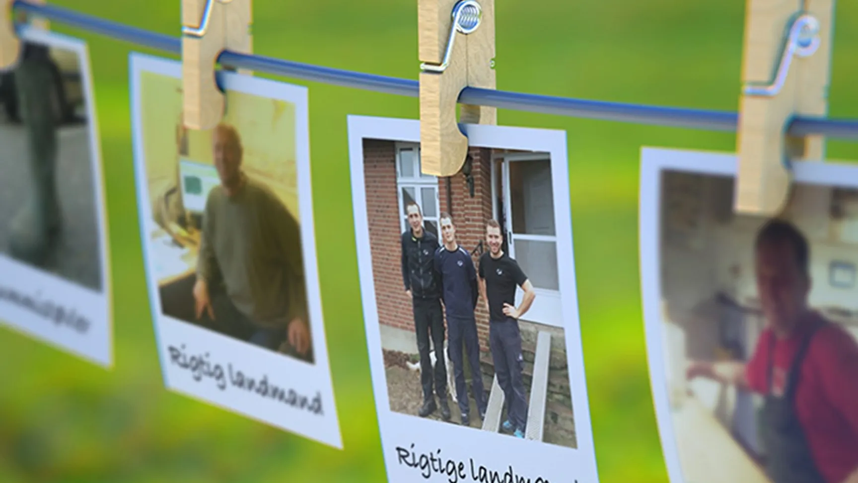 Photos of farmers hanging on a line with wooden clothespins, featuring labels that read "Rigtige landmænd," against a blurred green background.