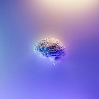 Et 3D-grafisk billede af en menneskelig hjerne svævende i et farverigt gradient baggrund i nuancer af lilla og blå.