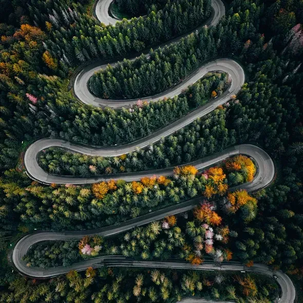 En luftfoto af en snoet vej, der snor sig gennem tæt, grøn skov med efterårsfarver, herunder gule, orange og rosa nuancer.