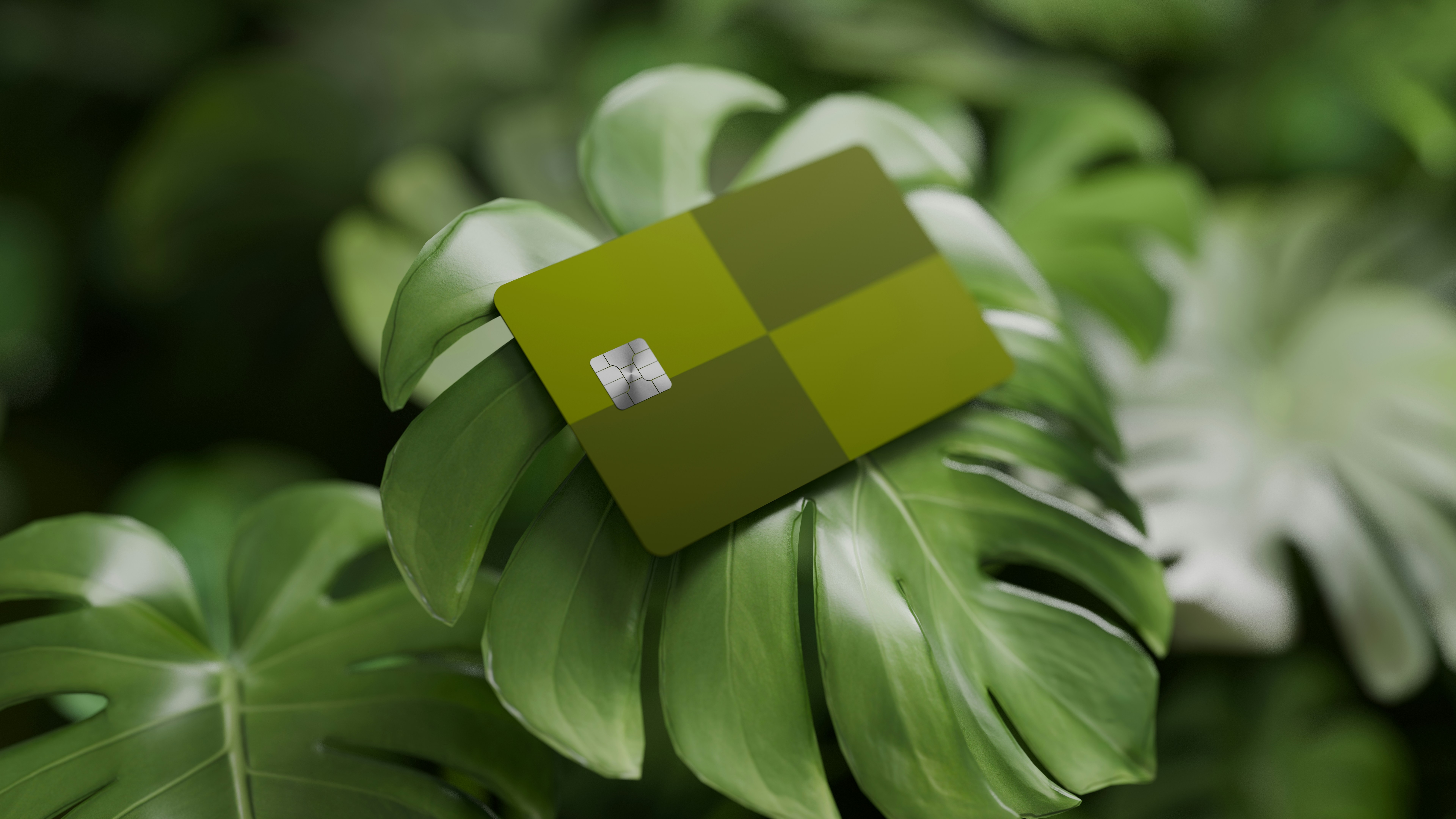 Et grønt betalingskort placeret på store grønne planter, der symboliserer bæredygtighed og finansielle tjenester.