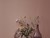 Vaser med blomster op ad lilla væg fra Bolias unified commerce-løsning til ecommerce